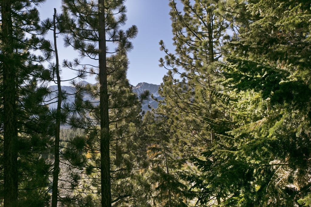 Mammoth Village Properties By 101 Great Escapes Mammoth Lakes Camera foto